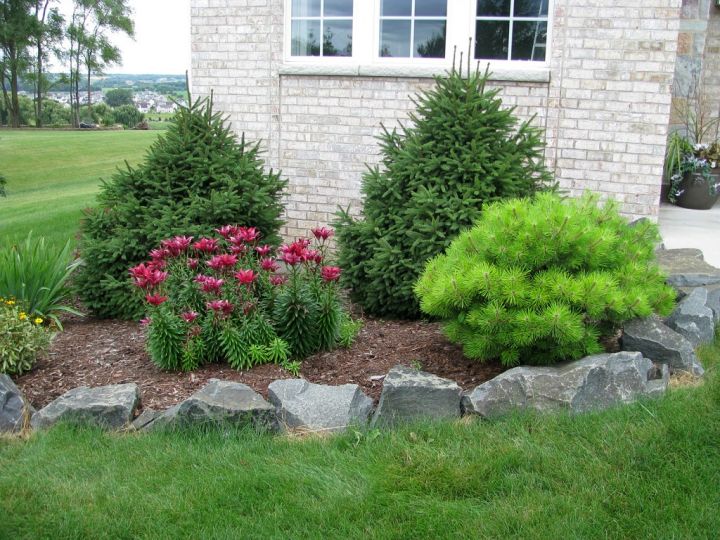 simple rock garden ideas for small front yard