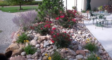 gardening with rocks ideas for backyard or poolside