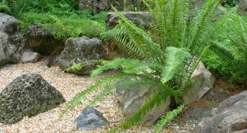 gardening with rocks ideas with old big rock