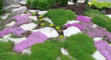 minimalistic gardening with rocks ideas with moss and thyme