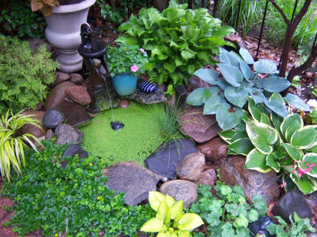 small pool gardening with rocks ideas