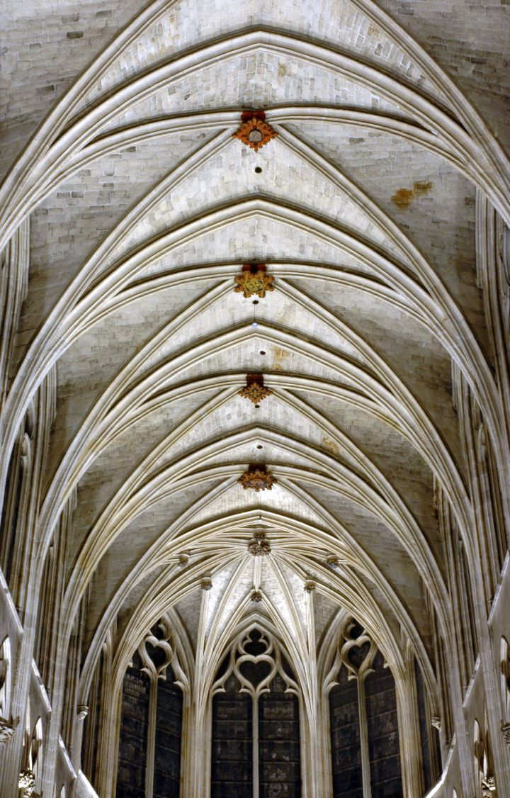 gothic vaulted ceilings