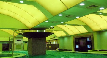 green ceiling indoor swimming pool designs