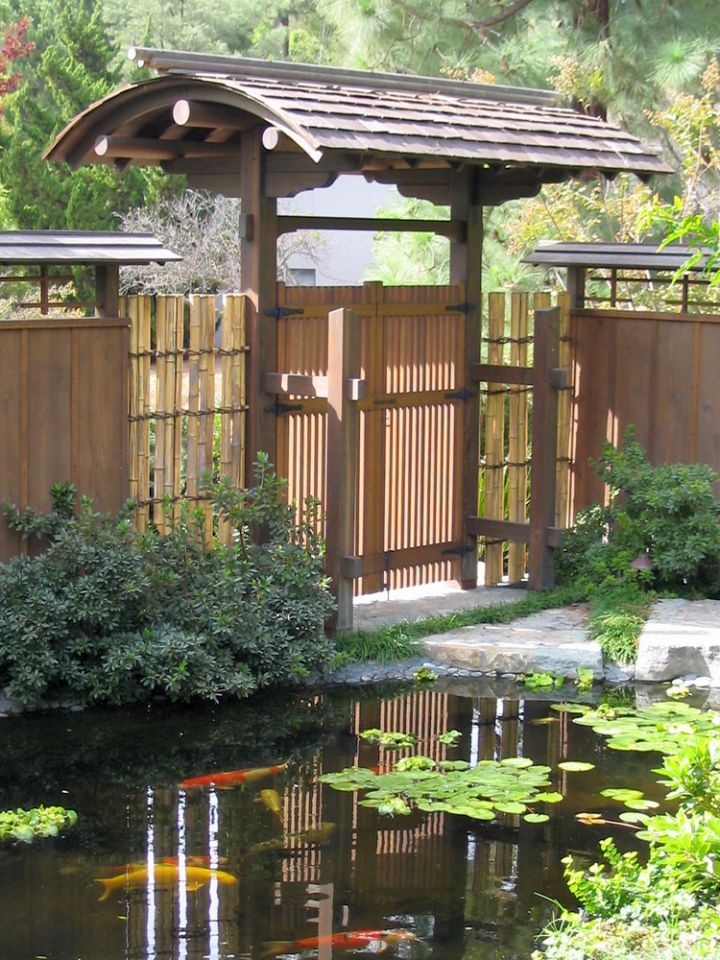 japanese style backyard with Japanese style gate and koi pond
