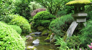 japanese style backyard with pond and water fountain