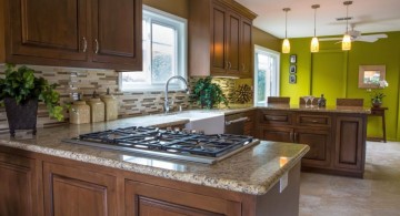lime green accent walls for the kitchen