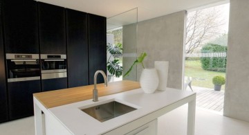 minimalist kitchen island with sink