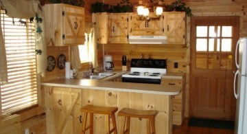 rustic ideas for cabinet doors for small place