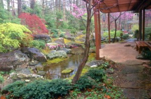 17 Peaceful Green Japanese Style Backyards