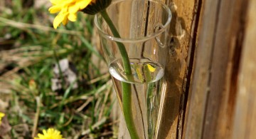 simple cone shaped hanging flower vase