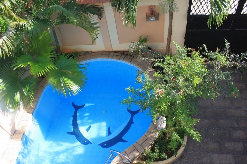 tiny swimming pools with dolphin design