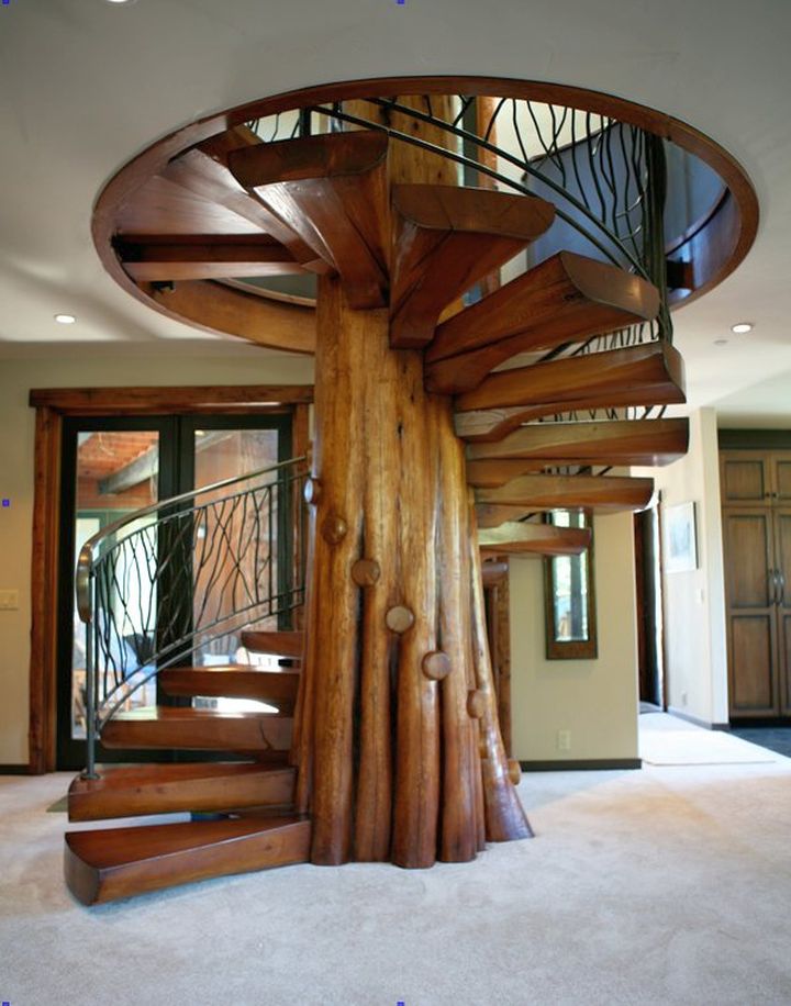 unique spiral wooden staircase designs that seemed to be a whole tree