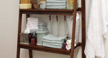 Display ladder for bathrooms