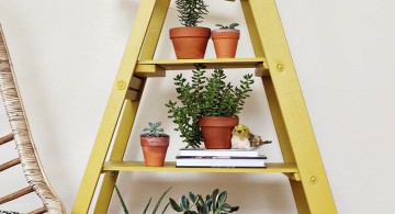 Display ladder for indoor plants