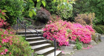 Garden stairs with iron handrail