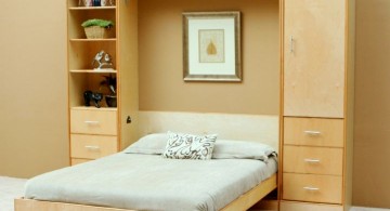 basic murphy bed unit