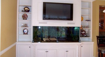 built in TV with small fishtank
