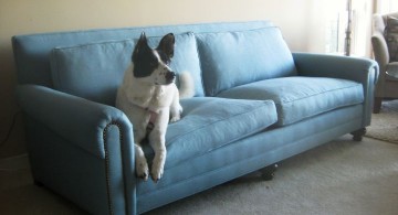 gorgeous blue high end slipcover