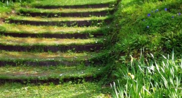 green Garden stairs