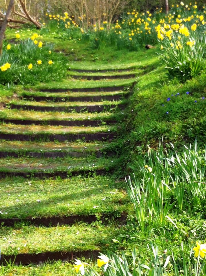 green Garden stairs