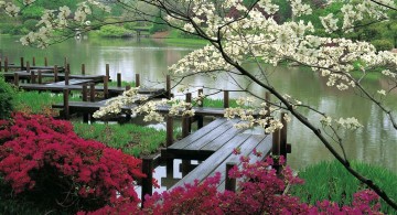 japanese garden designer with wood deck and pathway