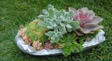 lovely small rock garden designs