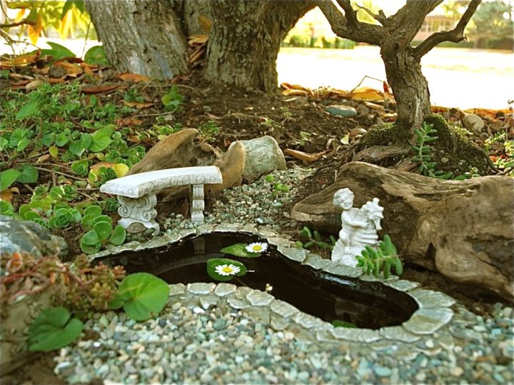 mini japanese garden under a tree