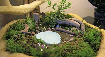 plush green mini japanese garden