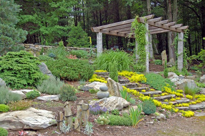 18 Simple and Easy Rock Garden Ideas