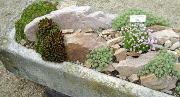 small rock garden designs with oval stone