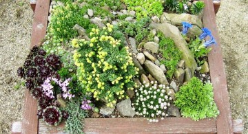 small rock garden designs with wooden box