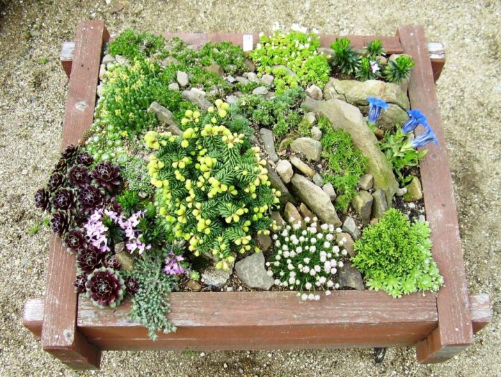 small rock garden designs with wooden box