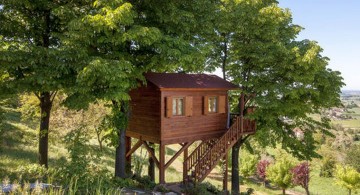 basic idea treehouse on stilts