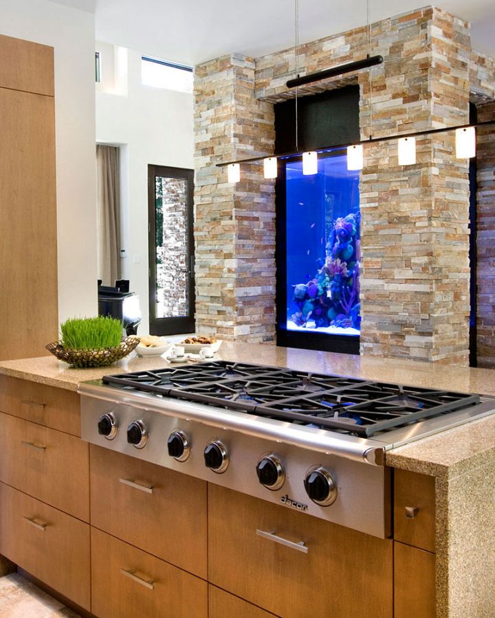 contemporary fish tank in the kitchen