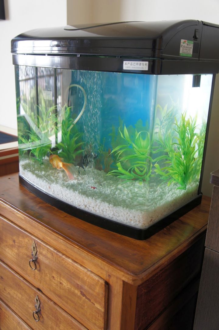 contemporary fish tank prefab