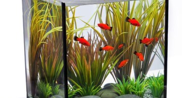 contemporary fish tank simple and small