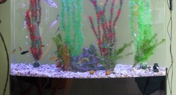 contemporary fish tank simple column