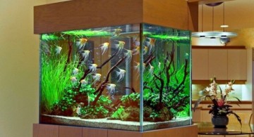 contemporary fish tank wall partition