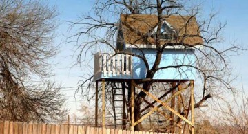 featured image of treehouse on stilts with blue walls