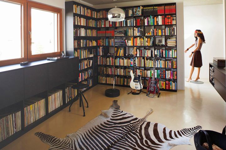 home music room with zebra rug and CD collection