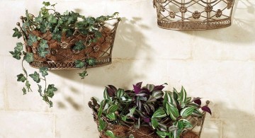 indoor wall hanging planter crown