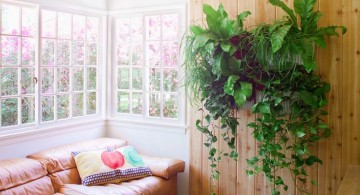 indoor wall hanging planter on wooden wall panel