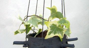 indoor wall hanging planter repurposing old pots