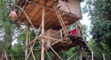 large treehouse on stilts