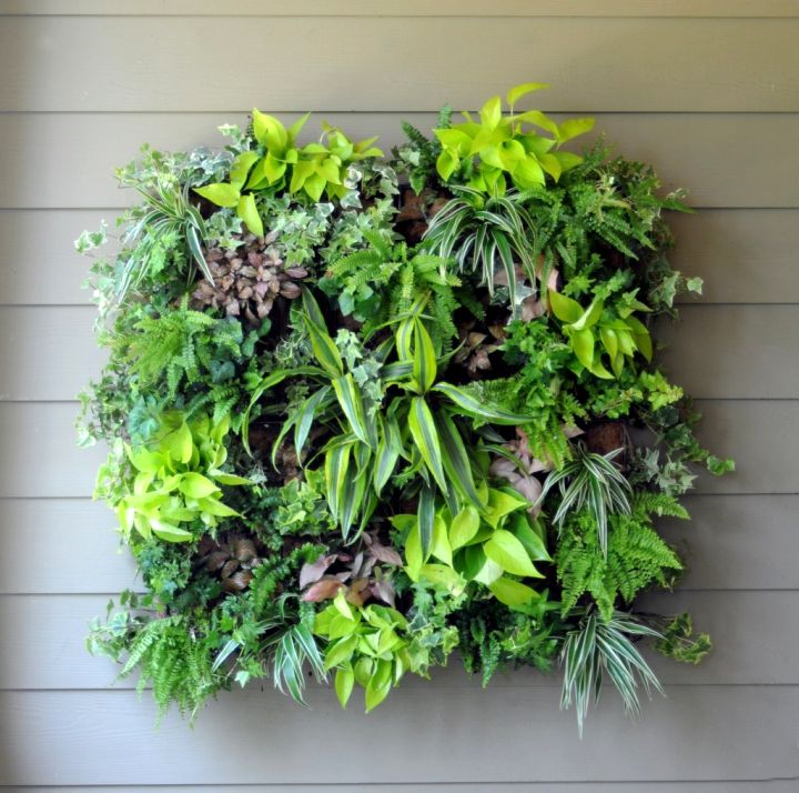 lush and lovely indoor wall hanging planter