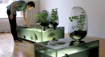 minimalist contemporary fish tank for eels