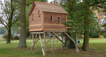 simple and small treehouse on stilts