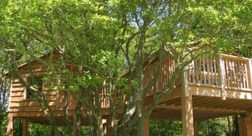 simple two treehouse on stilts