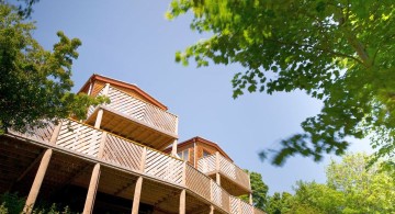 spacious treehouse on stilts