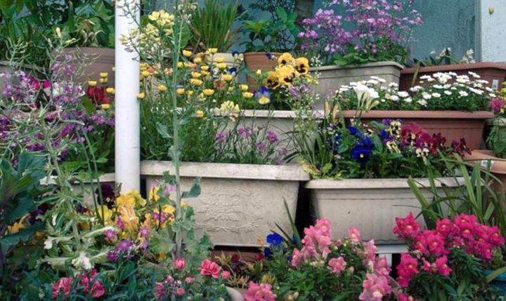 terraced flower garden with pots